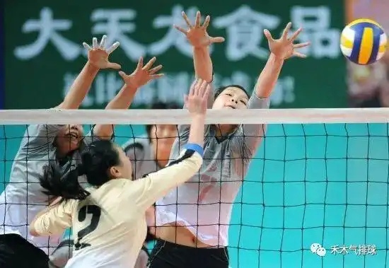 提高气排球传球发球扣球拦网能力_气排球技巧训练_最需要技巧的体育项目